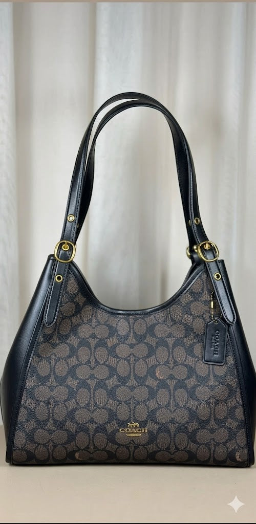 Coach Teri Hobo Bag in Signature Canvas