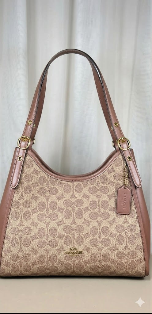 Coach Teri Hobo Bag in Signature Canvas