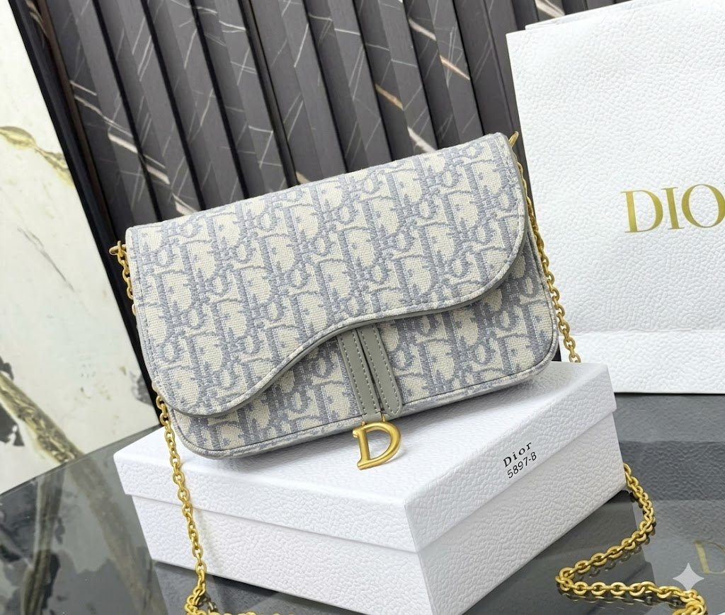 Dior Saddle Pouch with Chain
