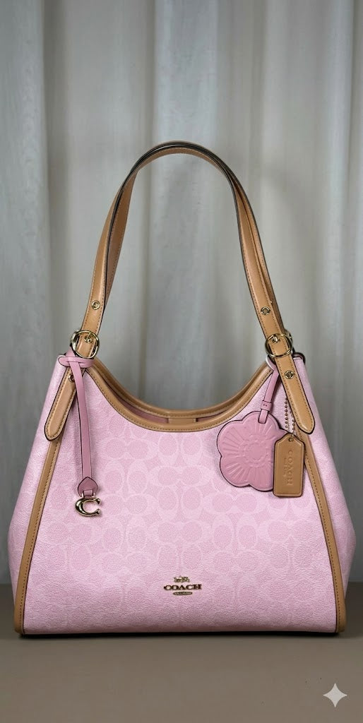 Coach Teri Hobo Bag in Signature Canvas