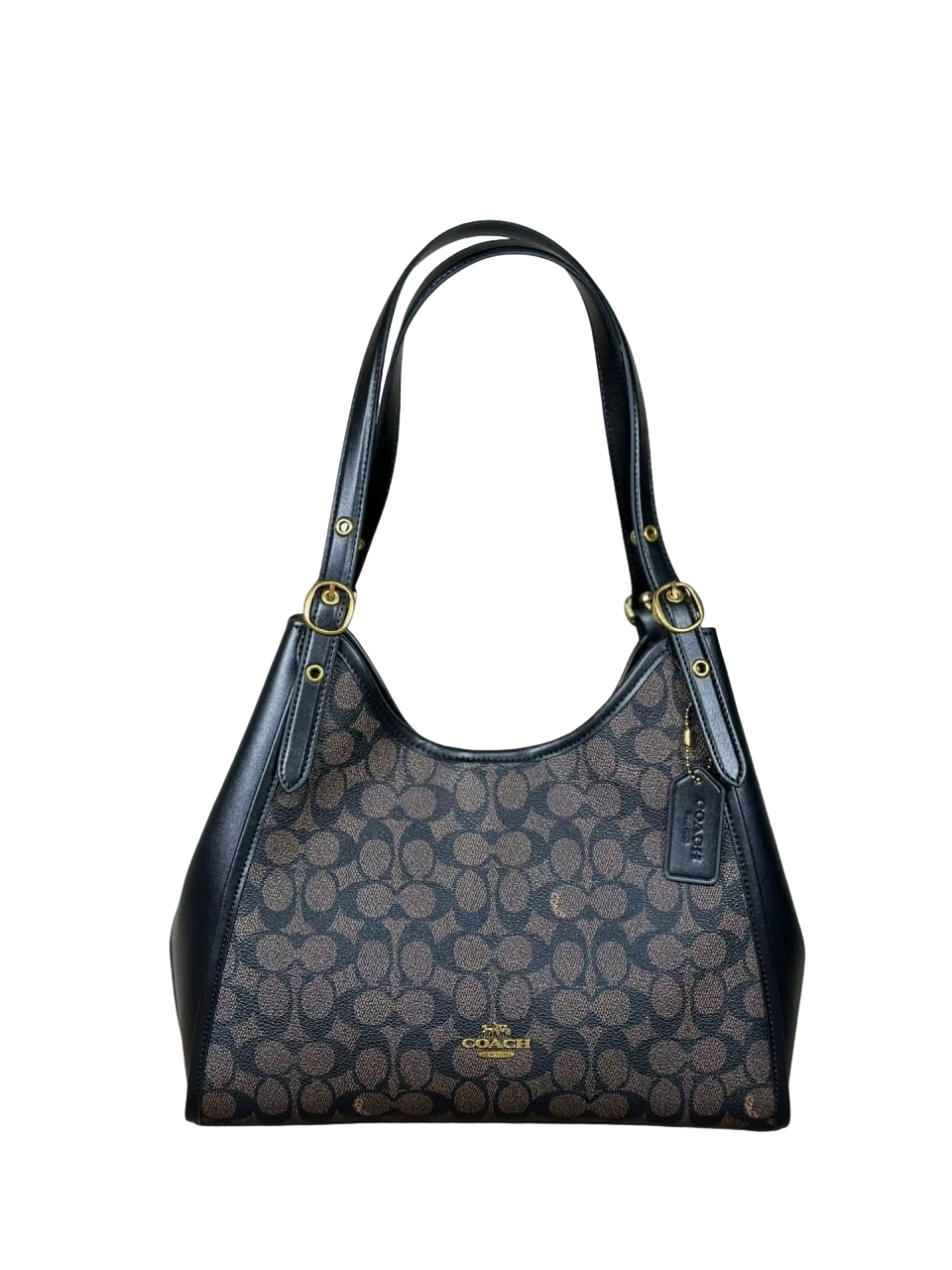 Coach Teri Hobo Bag in Signature Canvas