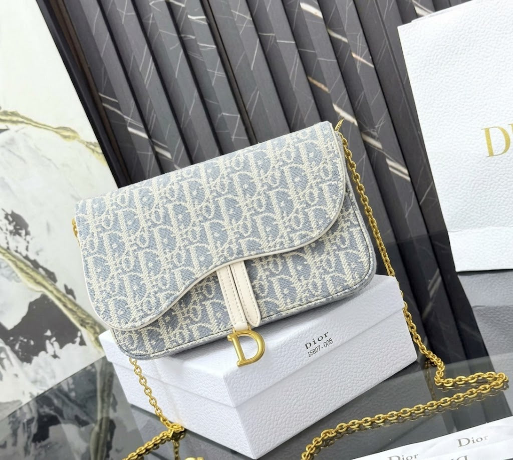 Dior Saddle Pouch with Chain
