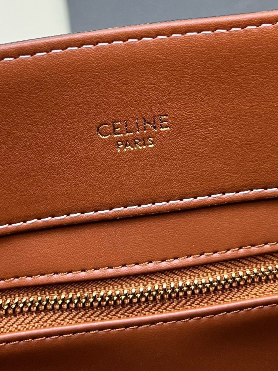 Celine Medium Boston Bag in Triomphe Canvas