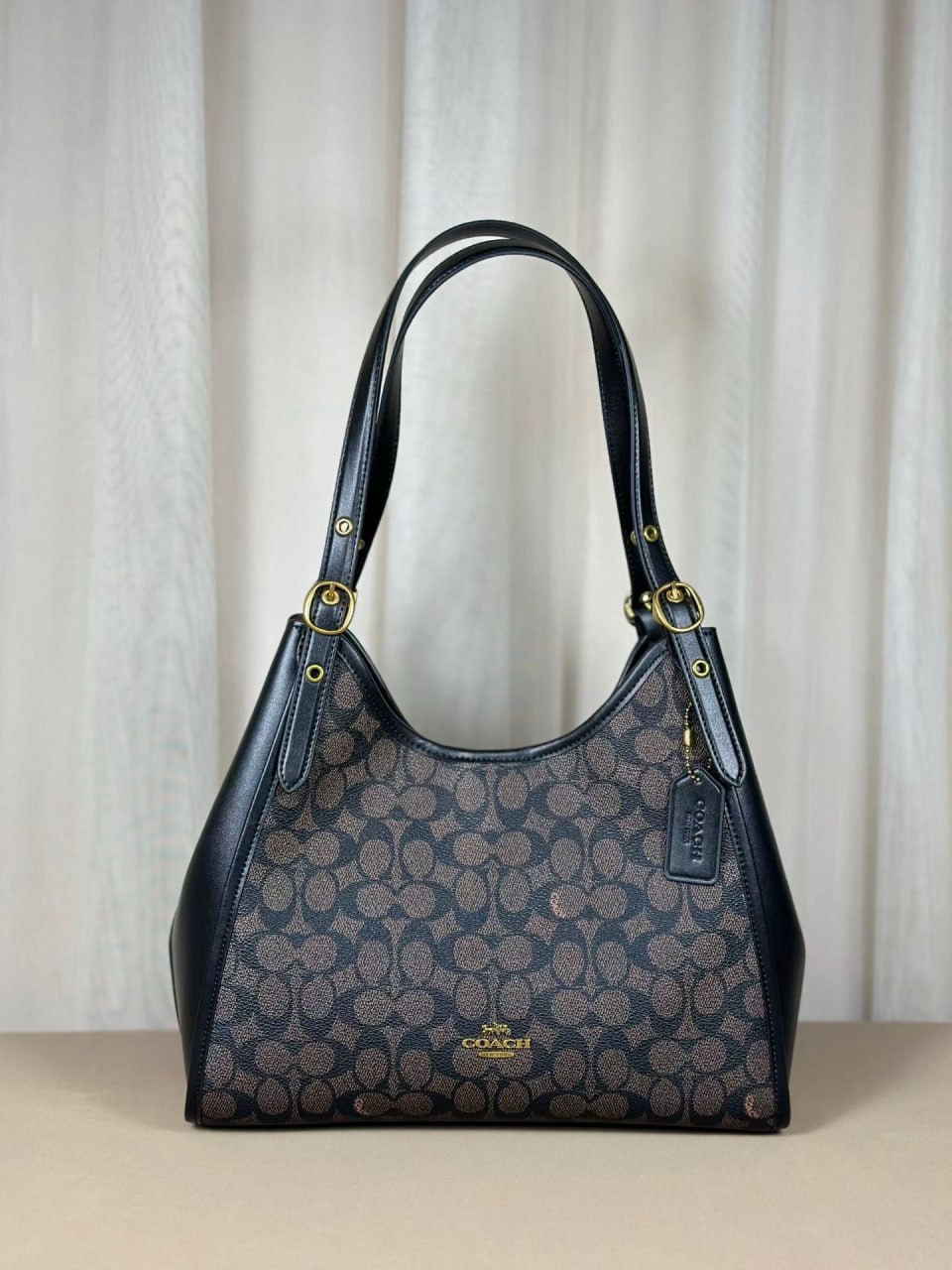 Coach Teri Hobo Bag in Signature Canvas