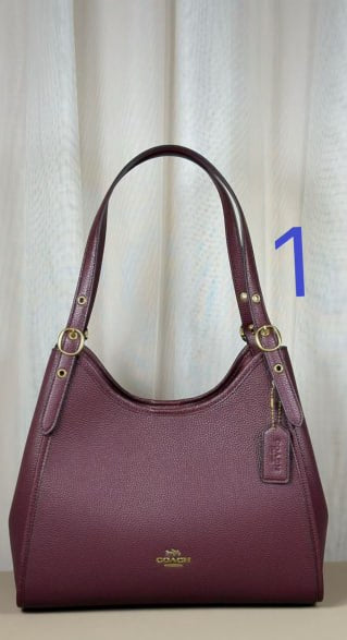 Coach Teri Hobo Bag in Signature Canvas