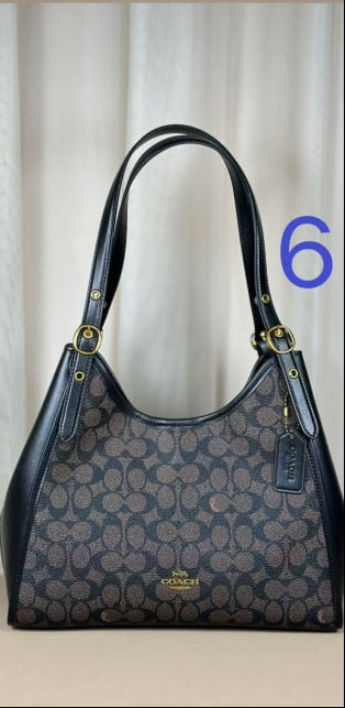 Coach Teri Hobo Bag in Signature Canvas