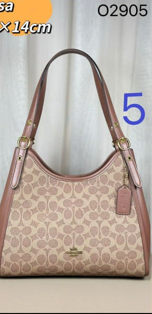 Coach Teri Hobo Bag in Signature Canvas