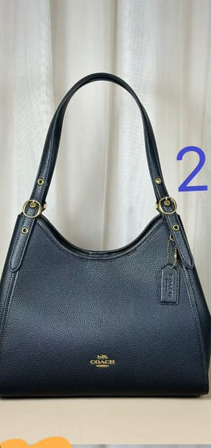 Coach Teri Hobo Bag in Signature Canvas