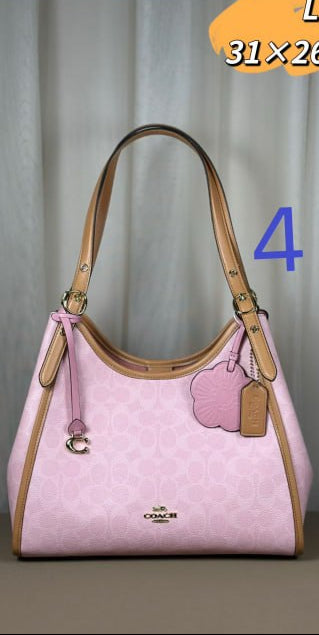 Coach Teri Hobo Bag in Signature Canvas