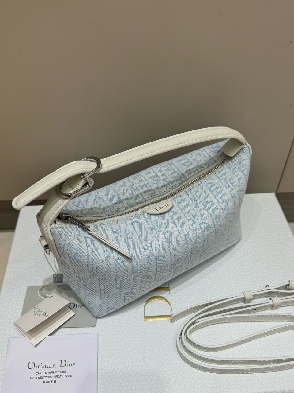Dior Nomad Pouch