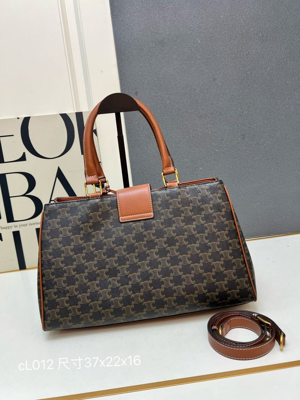 Celine Medium Boston Bag in Triomphe Canvas