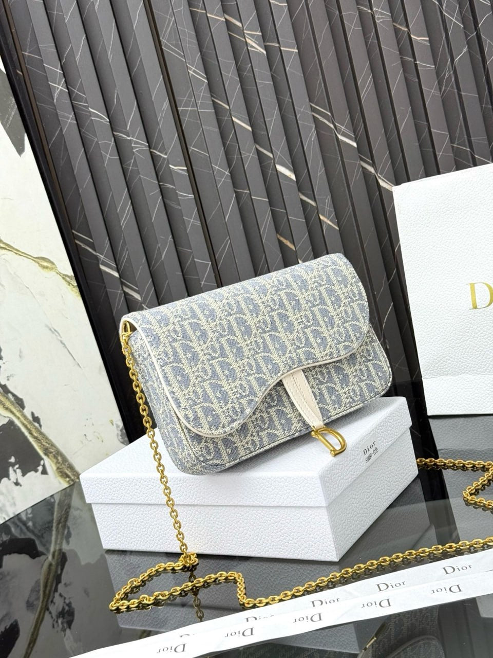 Dior Saddle Pouch with Chain