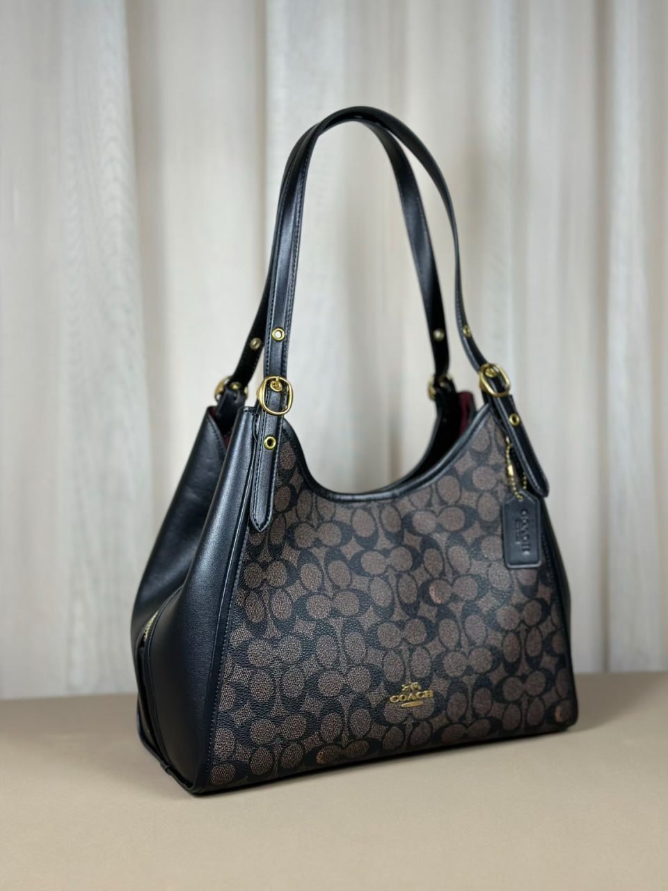 Coach Teri Hobo Bag in Signature Canvas