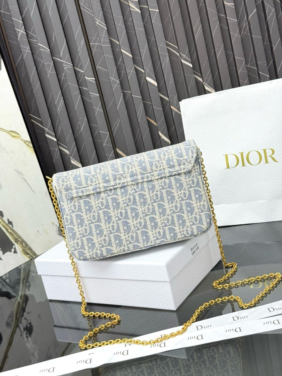 Dior Saddle Pouch with Chain