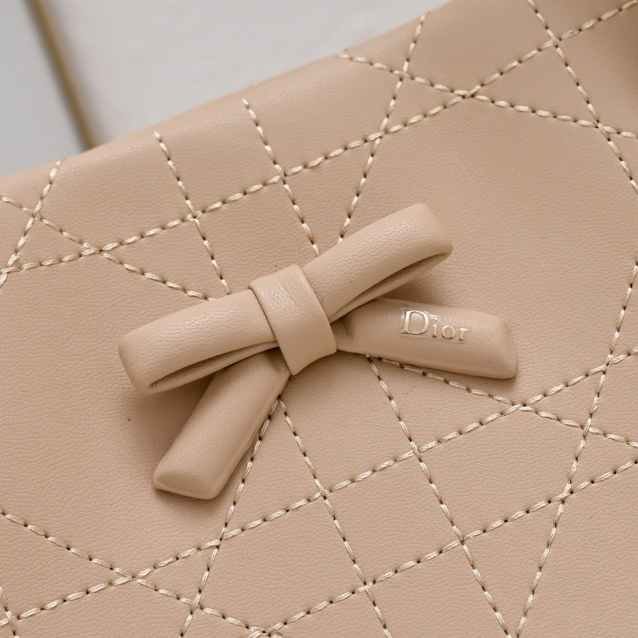 Dior Cannage