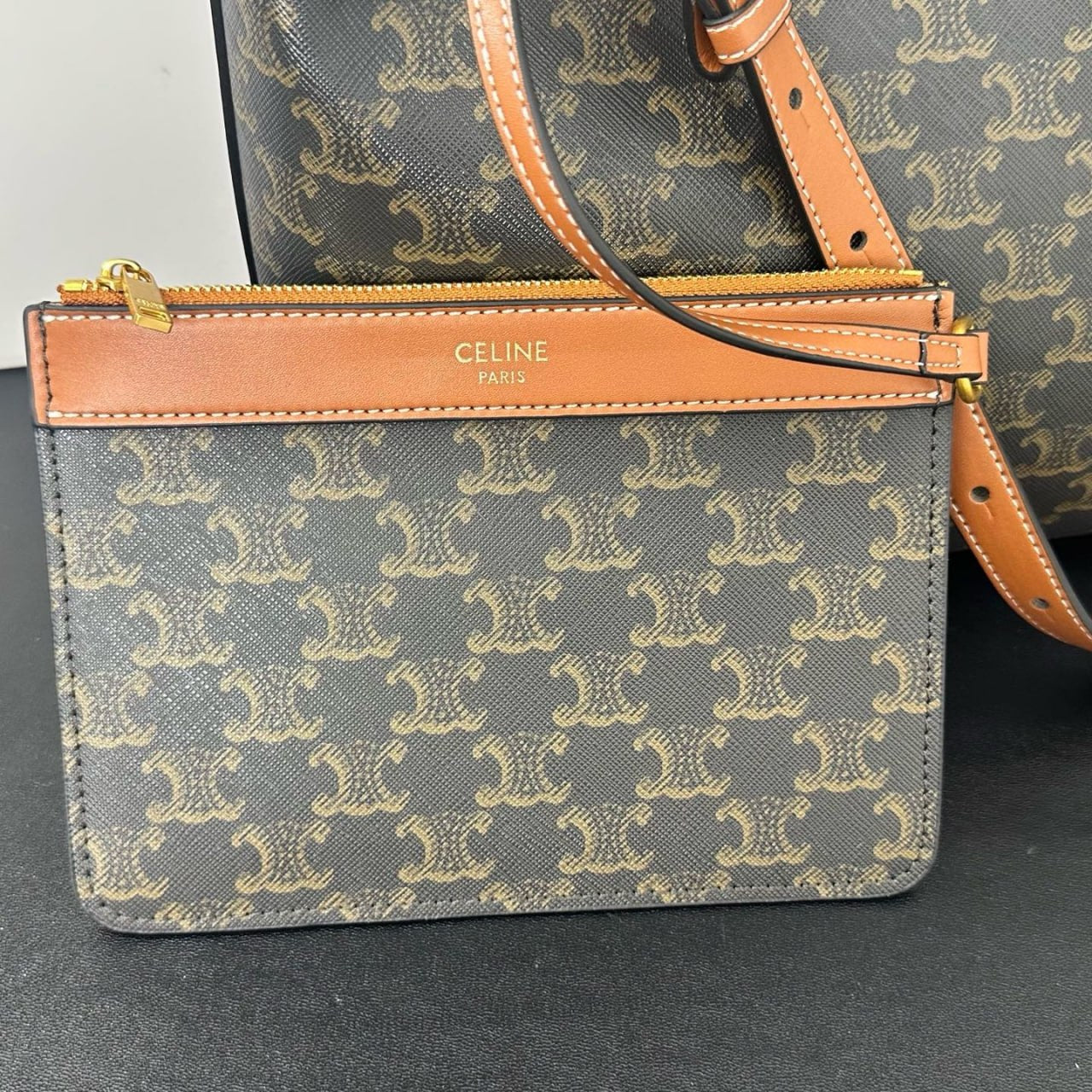 Celine Cabas Thais in Triomphe Canvas