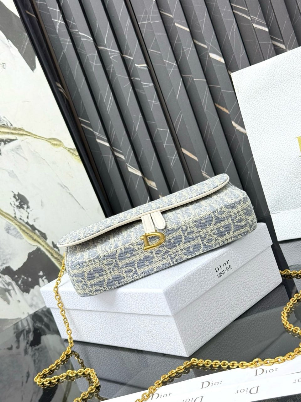 Dior Saddle Pouch with Chain