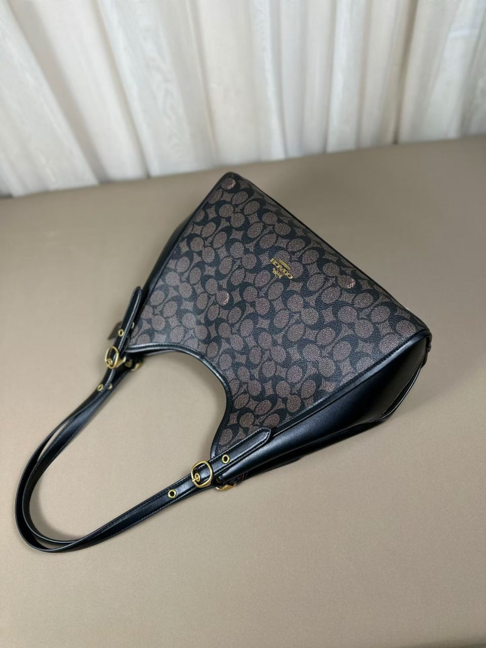 Coach Teri Hobo Bag in Signature Canvas