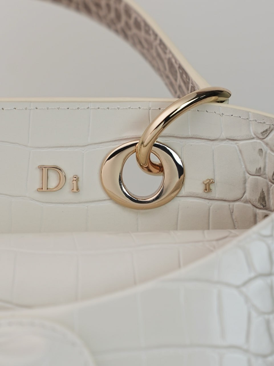 Dior Crocodile-embossed