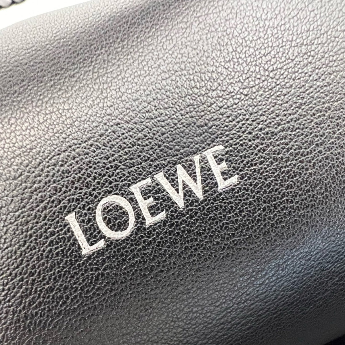 LOEWE Paseo Hobo