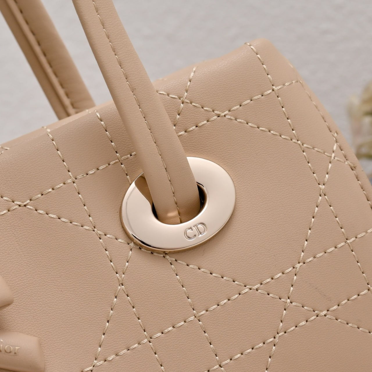Dior Cannage