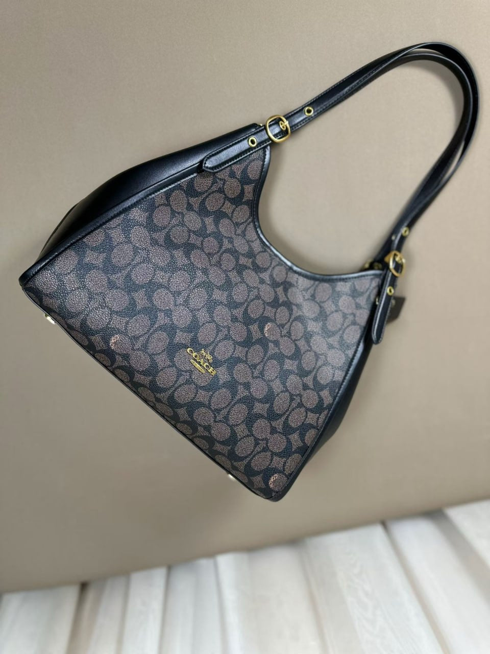 Coach Teri Hobo Bag in Signature Canvas