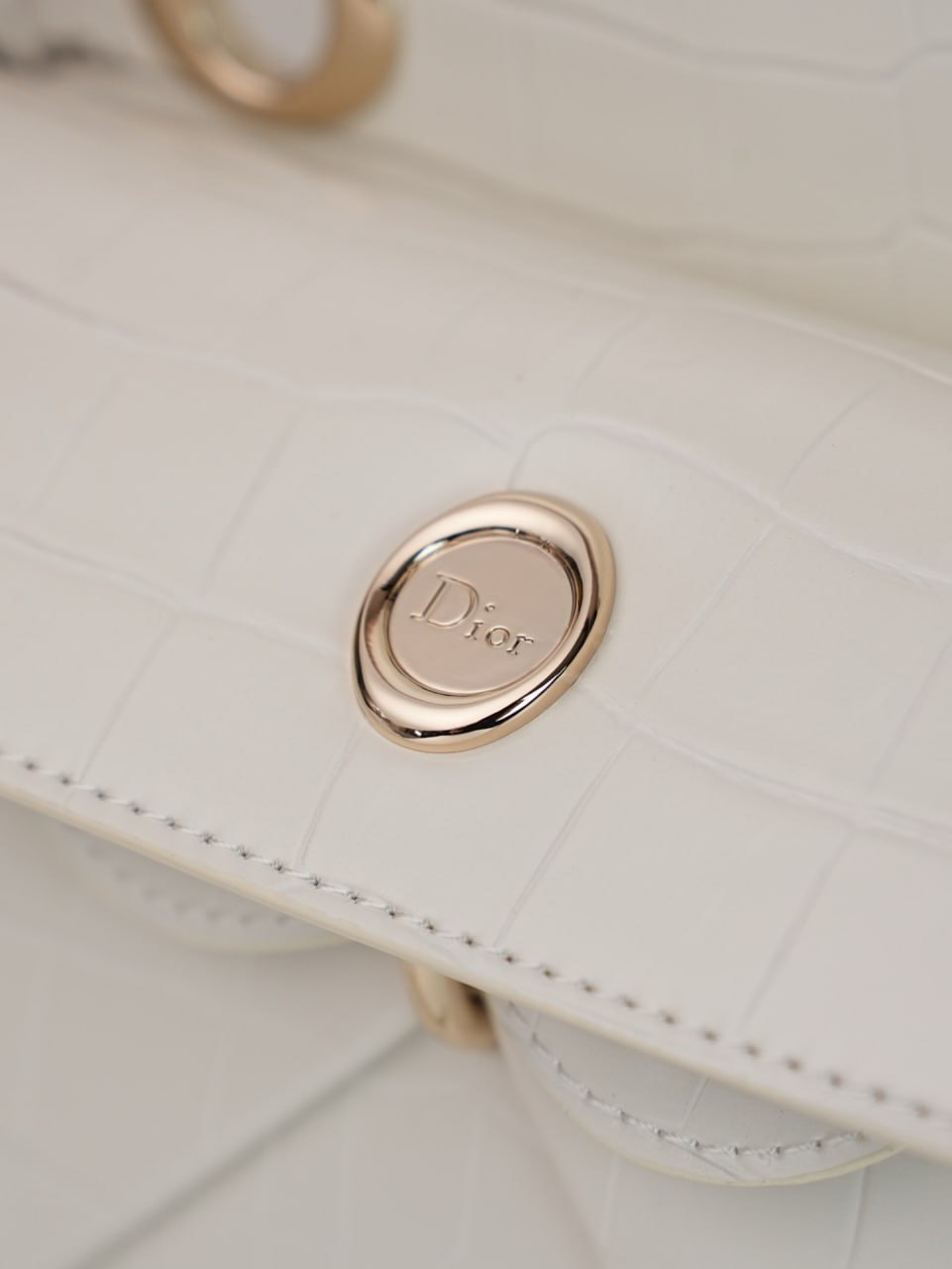 Dior Crocodile-embossed