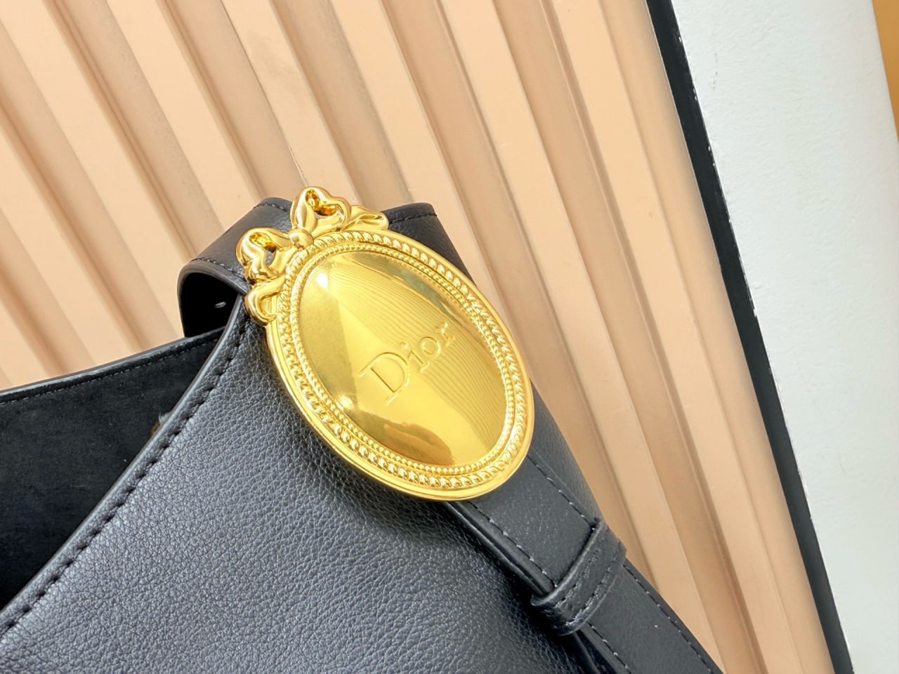 Dior Hobo Bag