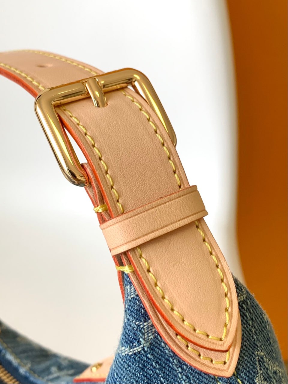 Louis Vuitton Monogram Denim Pleaty Bag