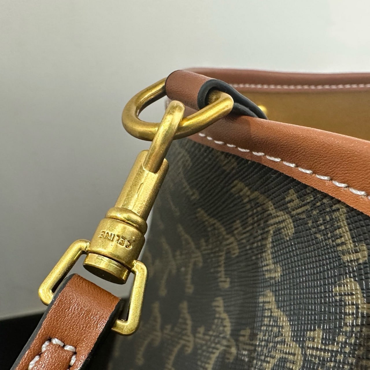 Celine Cabas Thais in Triomphe Canvas
