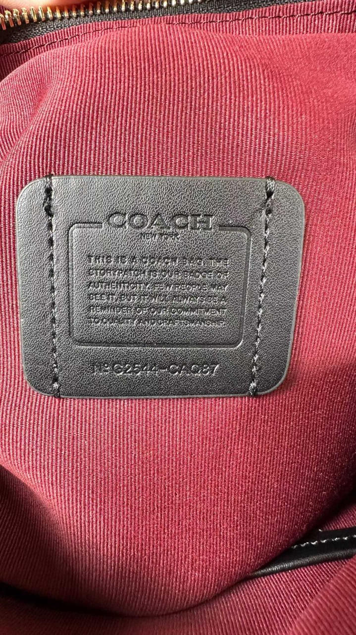 Coach Teri Hobo Bag in Signature Canvas